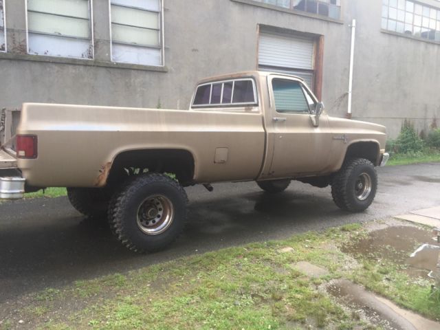 1982 Brown Chevrolet Other Standard Cab Pickup