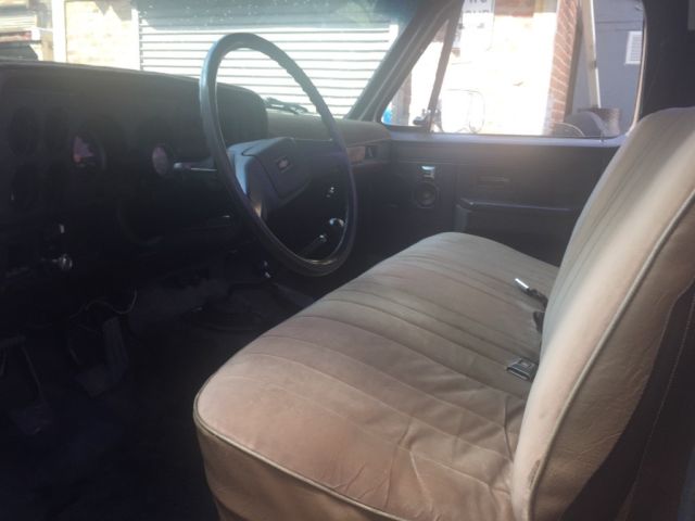 1982 Brown Chevrolet Other Standard Cab Pickup