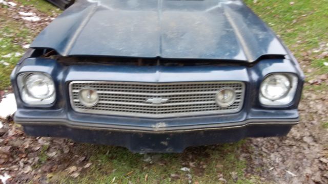 1973 blue Chevrolet Chevelle coupe