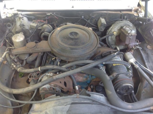 1978 White Chevrolet Nova