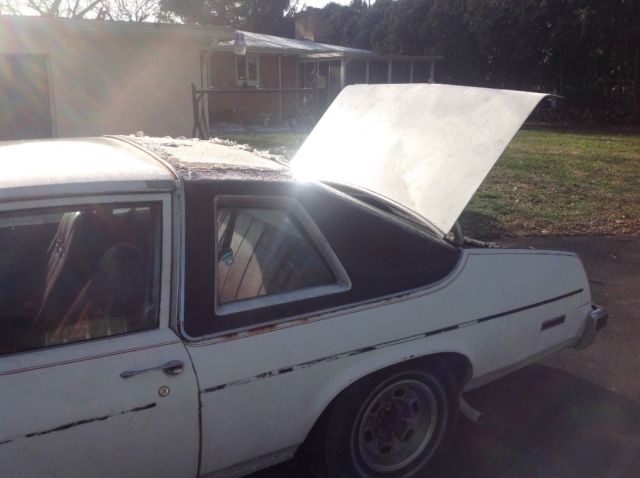 1978 White Chevrolet Nova