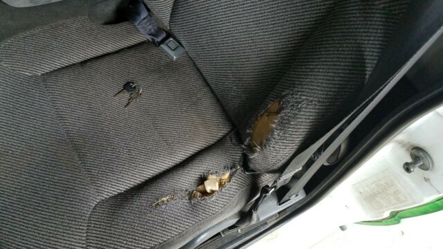 1991 Green, White Chevrolet S-10 Standard Cab Pickup