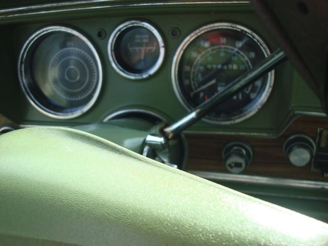 1975 Green Chevrolet LEMANS Wagon