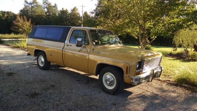 1973 buckskin Chevrolet Other Pickups Fleetside p/u