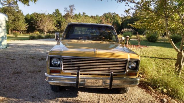1973 buckskin Chevrolet Other Pickups Fleetside p/u