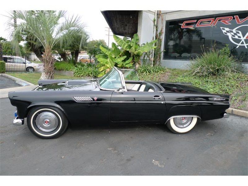 1955 Black Ford Thunderbird