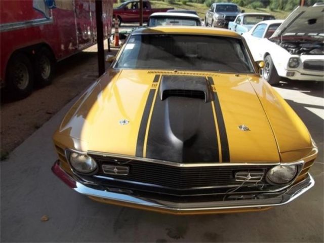 1970 Other Color Ford Mustang
