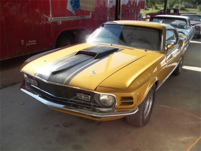 1970 Other Color Ford Mustang