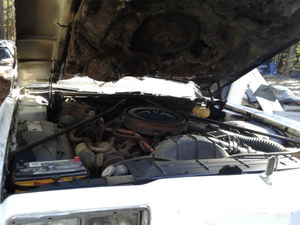 1977 White Oldsmobile Other Coupe