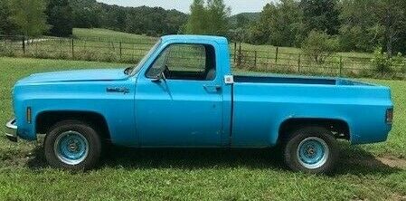 1973 Chevrolet Other Pickups