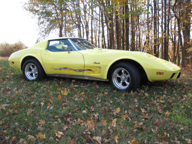 1975 Custom Yellow Chevrolet Corvette Coupe
