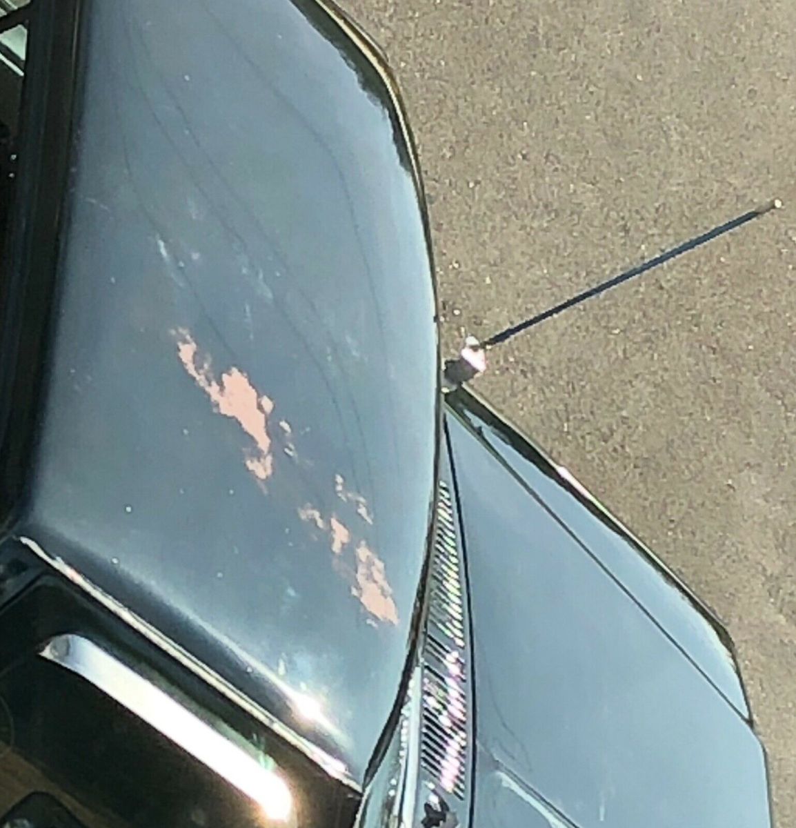 1981 Black Ford F-150 Step side