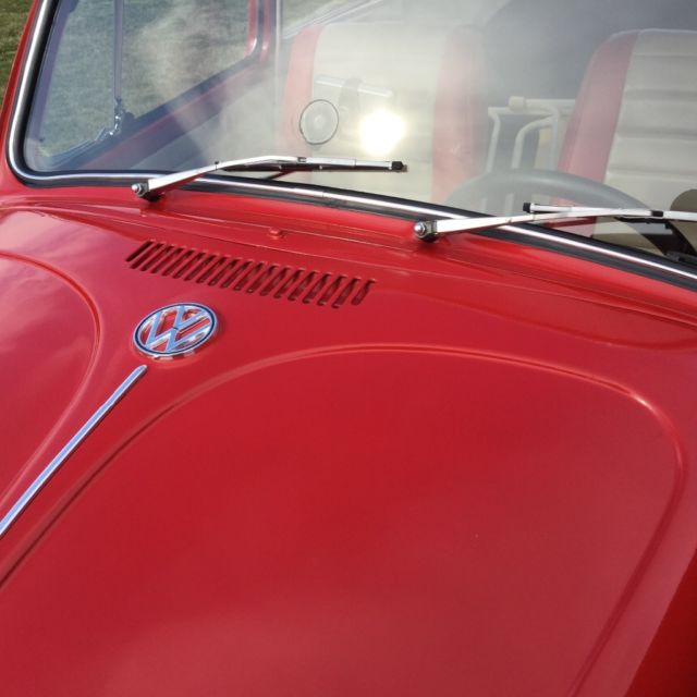 1962 White Volkswagen Beetle - Classic Sedan