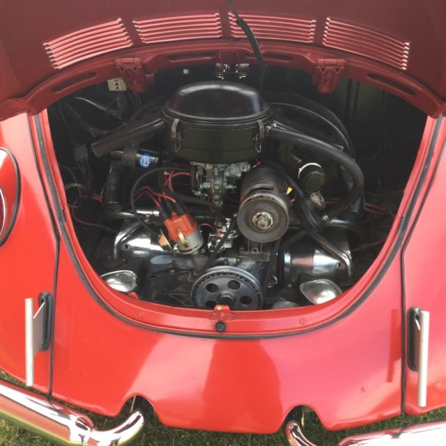 1962 White Volkswagen Beetle - Classic Sedan