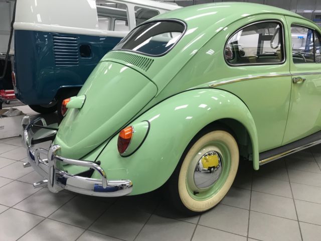 1950 Volkswagen Beetle - Classic