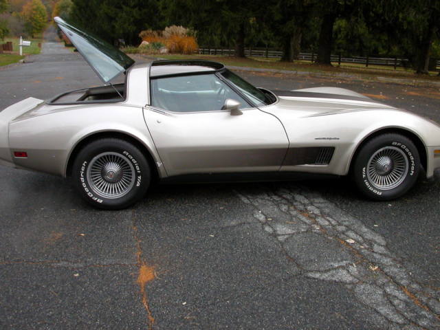 1982 SILVER BEIGE Chevrolet Corvette Coupe