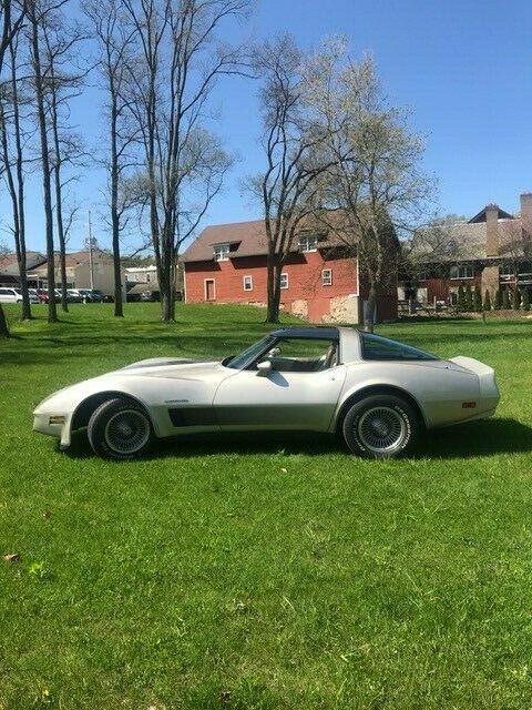 1982 Silver Beige Chevrolet Corvette Coupe
