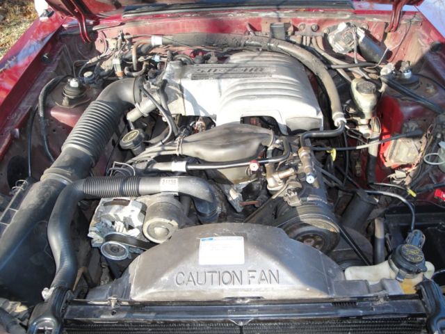 1988 Burgundy Ford Mustang Convertible