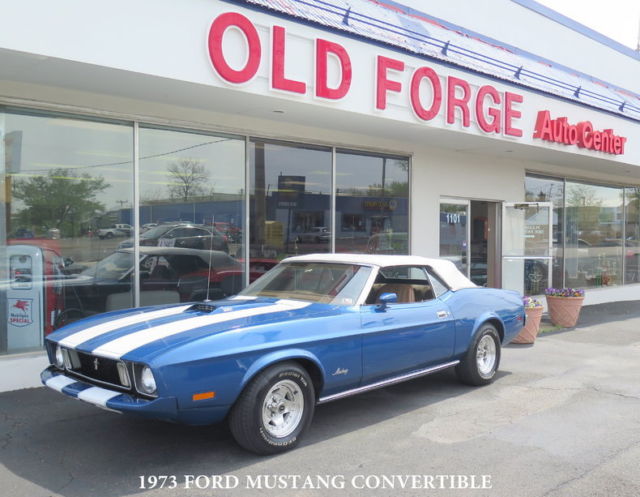 1973 Other Ford Mustang Convertible