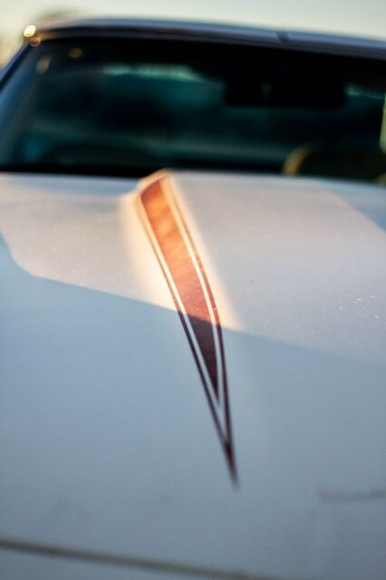 1978 Custom factory Chevrolet Corvette Coupe