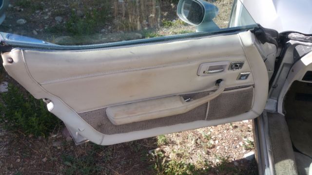 1979 Silver Chevrolet Corvette Coupe