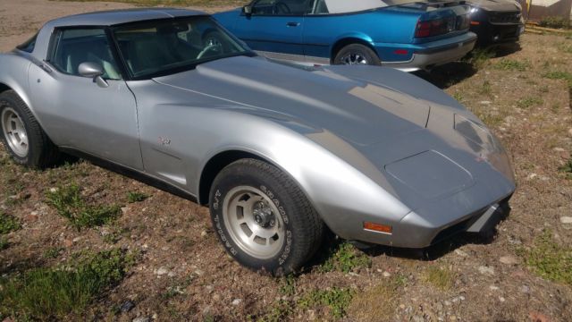 1979 Silver Chevrolet Corvette Coupe