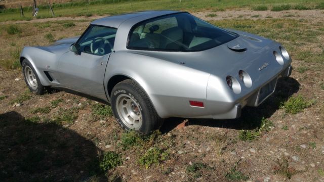 1979 Silver Chevrolet Corvette Coupe