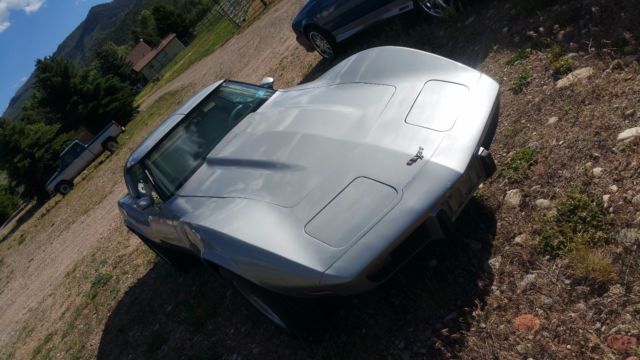 1979 Silver Chevrolet Corvette Coupe