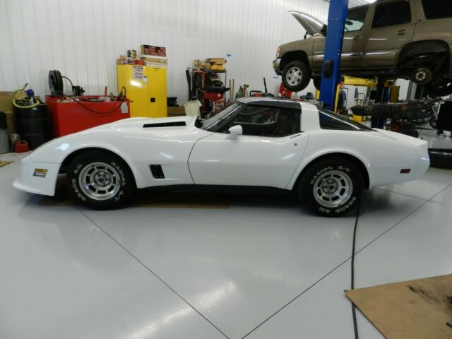1981 White Chevrolet Corvette