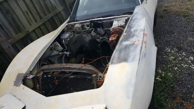 1974 Chevrolet Corvette