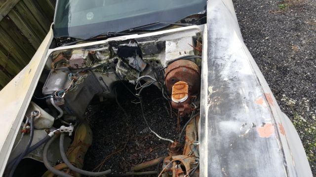 1974 Chevrolet Corvette