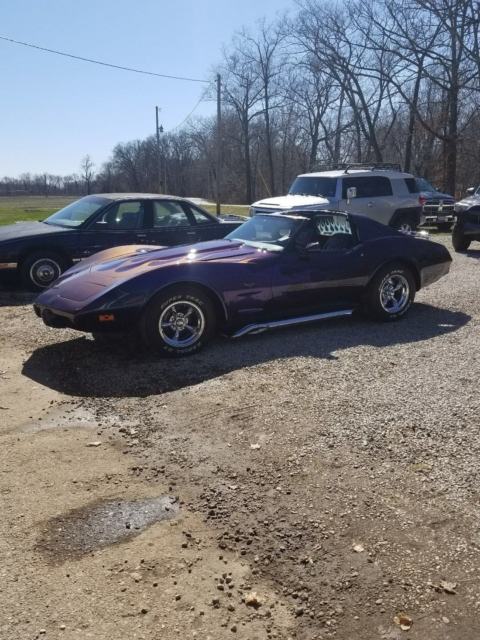 1977 Black/purple/muti color Chevrolet Corvette Coupe