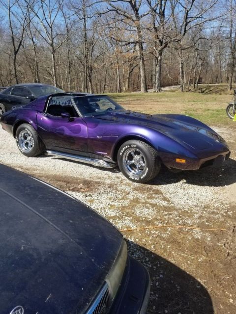 1977 Black/purple/muti color Chevrolet Corvette Coupe
