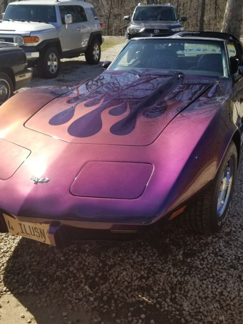 1977 Black/purple/muti color Chevrolet Corvette Coupe