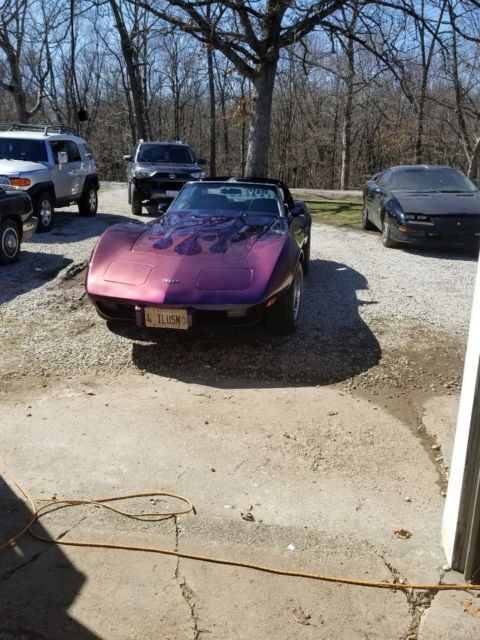 1977 Black/purple/muti color Chevrolet Corvette Coupe