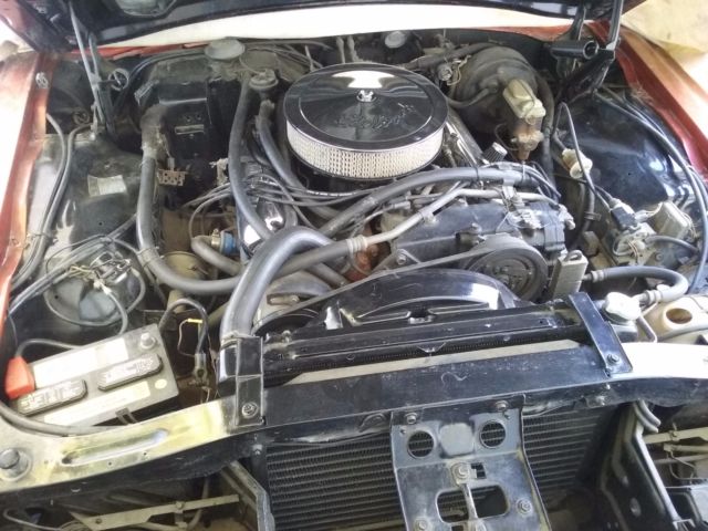 1967 SUNSET ORANGE Ford Thunderbird Coupe