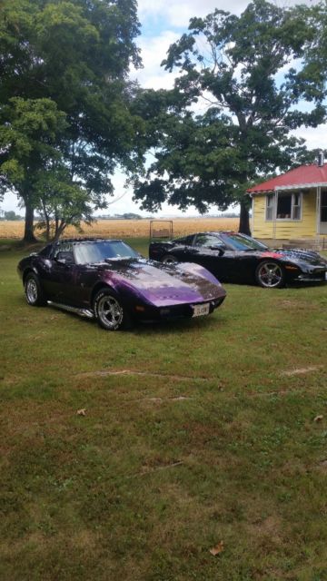1977 Black/purple/muti color Chevrolet Corvette Coupe