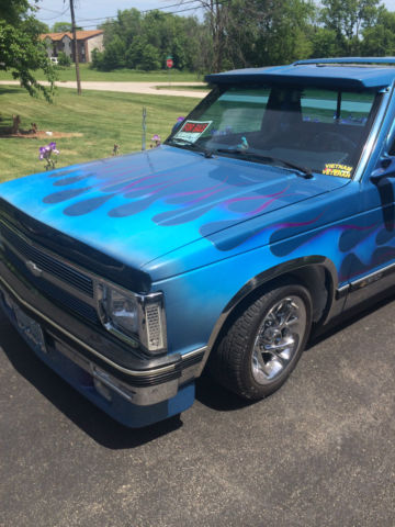 1991 Custom Paint in Blues Chevrolet S-10 Standard Cab Pickup