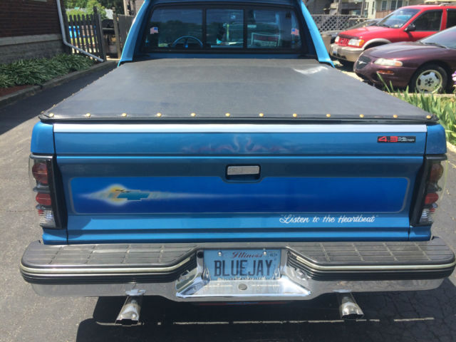 1991 Custom Paint in Blues Chevrolet S-10 Standard Cab Pickup