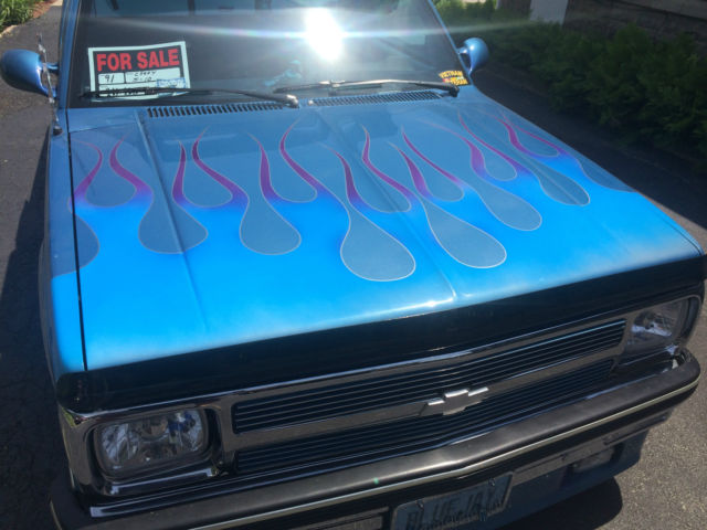 1991 Custom Paint in Blues Chevrolet S-10 Standard Cab Pickup