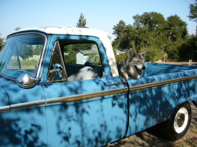 1966 Blue Ford Other Pickups Standard Cab Pickup