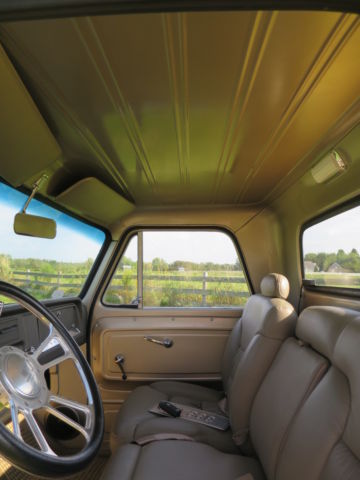 1966 Luna Yellow Chevrolet C-10 Standard Cab Pickup