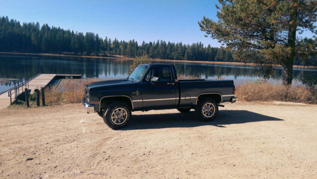 1982 Stealth Gray Chevrolet C/K Pickup 1500 Standard Cab Pickup