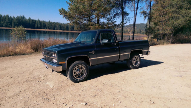 1982 Stealth Gray Chevrolet C/K Pickup 1500 Standard Cab Pickup