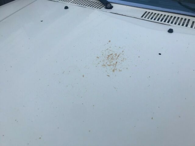 1984 Black & Tan Toyota 4Runner SUV