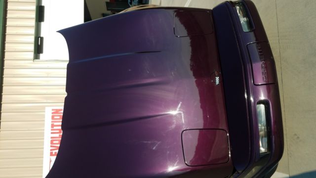 1993 DARK ROSE METALLIC(1 OF 8 LEFT IN THE WORLD) Chevrolet Corvette Coupe