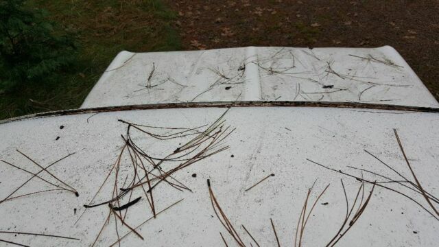 1965 White Dodge Other Standard Cab Pickup