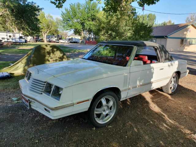 1982 White Dodge 400 Convertible