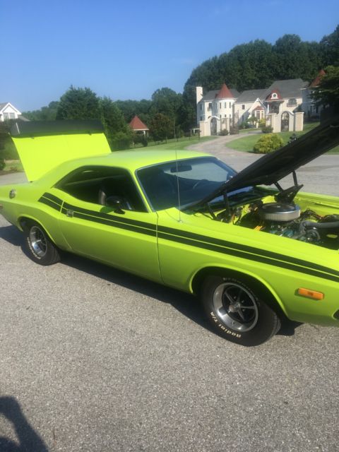 1973 Green Dodge Challenger Coupe