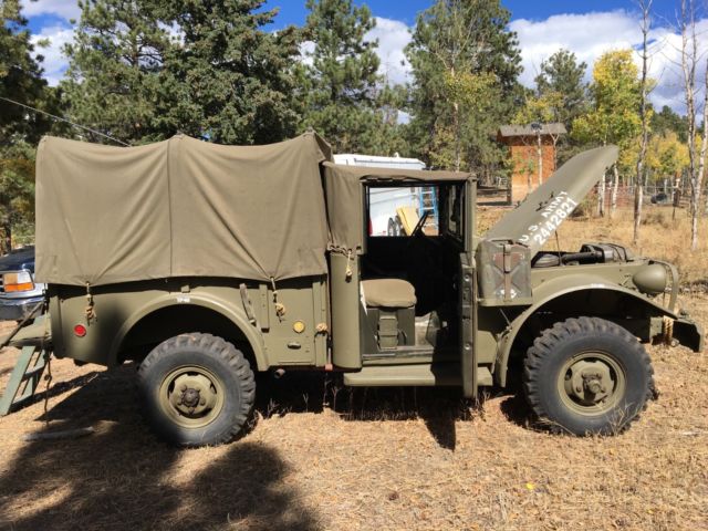 1954 Olive Drab Dodge Other Standard Cab Pickup